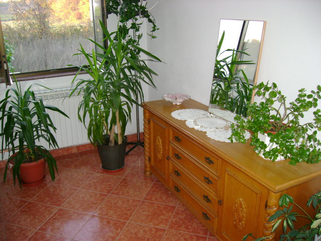 Guest House Robi Međugorje Værelse billede